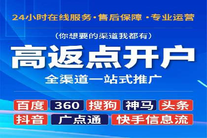 百度广告投放策略优化及成功案例解析
