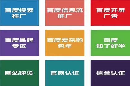 探索专业SEM托管的未来趋势与成功案例